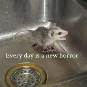 Meet your Posher, Kiana